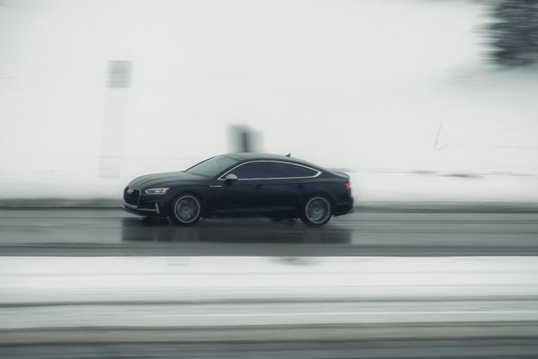 How can UK pet owners manage separation anxiety?