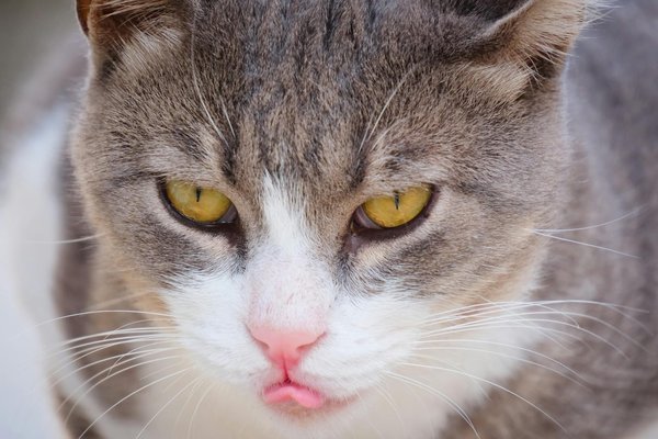 What Are the Emerging Trends in UK's Tech Sector?